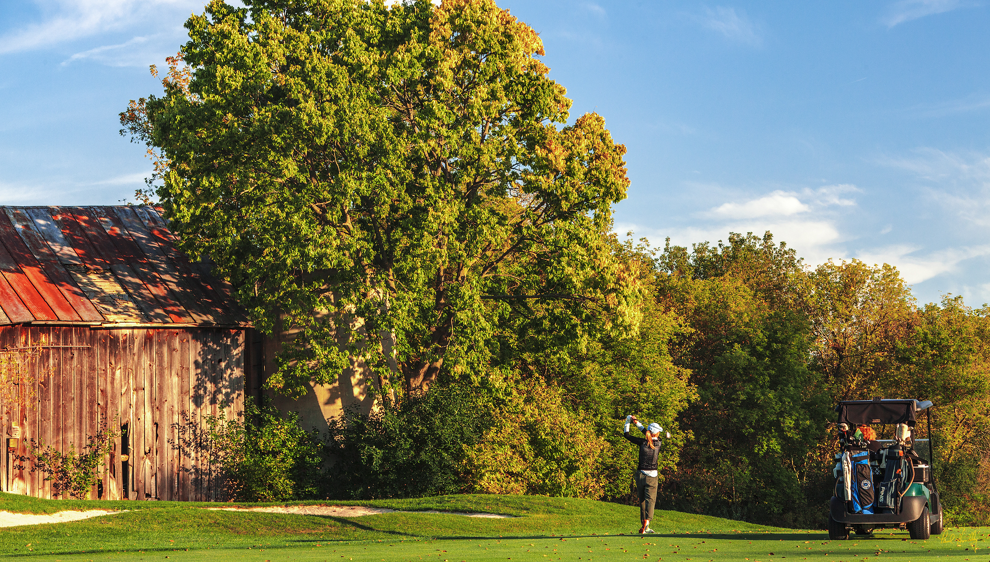 outings - golf course trees